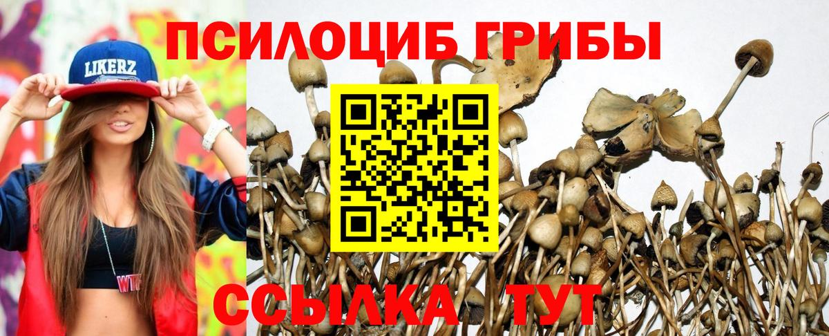 Галлюциногенные грибы MAGIC MUSHROOMS Севастополь