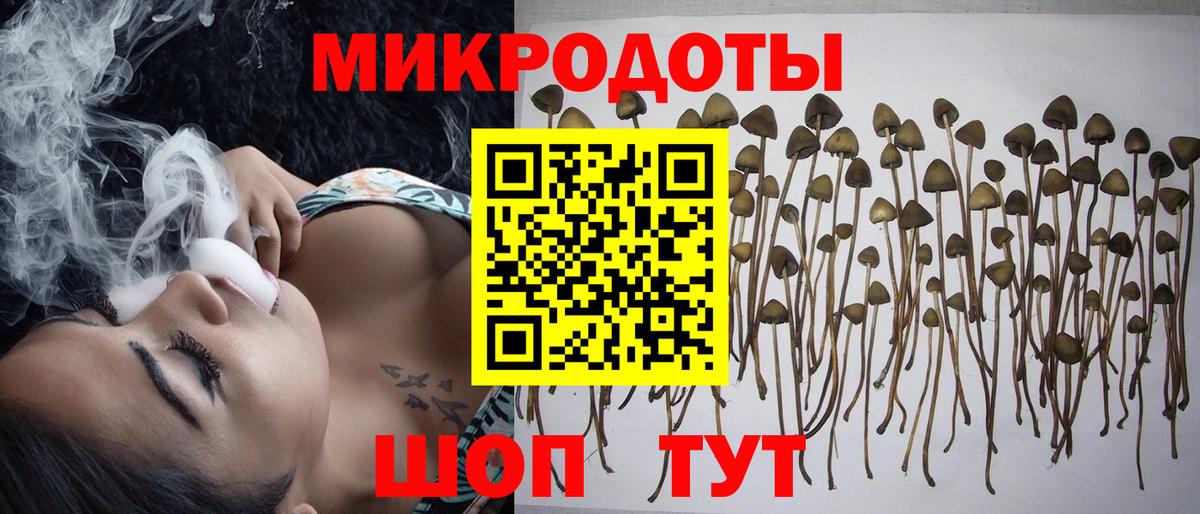 Псилоцибиновые грибы прущие грибы  Вход с VPN  Севастополь  Псилоцибиновые грибы MAGIC MUSHROOMS 